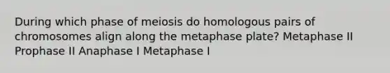 During which phase of meiosis do homologous pairs of chromosomes align along the metaphase plate? Metaphase II Prophase II Anaphase I Metaphase I