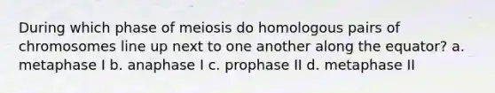 During which phase of meiosis do homologous pairs of chromosomes line up next to one another along the equator? a. metaphase I b. anaphase I c. prophase II d. metaphase II