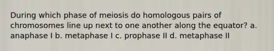 During which phase of meiosis do homologous pairs of chromosomes line up next to one another along the equator? a. anaphase I b. metaphase I c. prophase II d. metaphase II