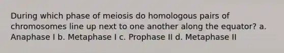 During which phase of meiosis do homologous pairs of chromosomes line up next to one another along the equator? a. Anaphase I b. Metaphase I c. Prophase II d. Metaphase II