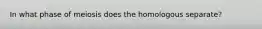 In what phase of meiosis does the homologous separate?
