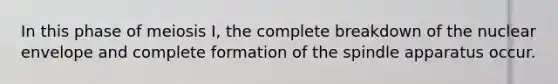 In this phase of meiosis I, the complete breakdown of the nuclear envelope and complete formation of the spindle apparatus occur.