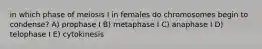 in which phase of meiosis I in females do chromosomes begin to condense? A) prophase I B) metaphase I C) anaphase I D) telophase I E) cytokinesis