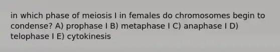 in which phase of meiosis I in females do chromosomes begin to condense? A) prophase I B) metaphase I C) anaphase I D) telophase I E) cytokinesis