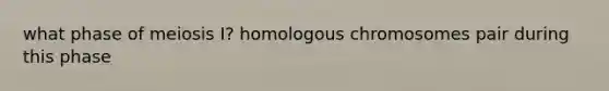 what phase of meiosis I? homologous chromosomes pair during this phase