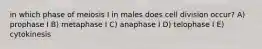 in which phase of meiosis I in males does cell division occur? A) prophase I B) metaphase I C) anaphase I D) telophase I E) cytokinesis