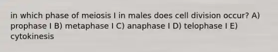 in which phase of meiosis I in males does cell division occur? A) prophase I B) metaphase I C) anaphase I D) telophase I E) cytokinesis