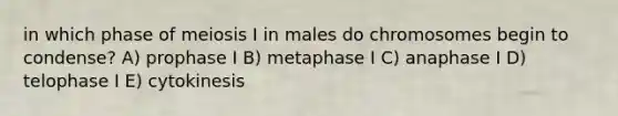 in which phase of meiosis I in males do chromosomes begin to condense? A) prophase I B) metaphase I C) anaphase I D) telophase I E) cytokinesis