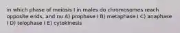 in which phase of meiosis I in males do chromosomes reach opposite ends, and nu A) prophase I B) metaphase I C) anaphase I D) telophase I E) cytokinesis