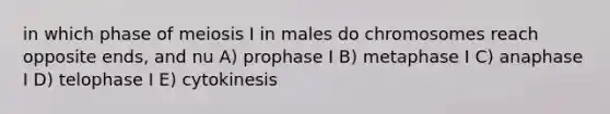 in which phase of meiosis I in males do chromosomes reach opposite ends, and nu A) prophase I B) metaphase I C) anaphase I D) telophase I E) cytokinesis