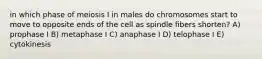 in which phase of meiosis I in males do chromosomes start to move to opposite ends of the cell as spindle fibers shorten? A) prophase I B) metaphase I C) anaphase I D) telophase I E) cytokinesis