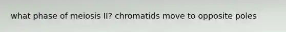 what phase of meiosis II? chromatids move to opposite poles