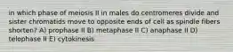 in which phase of meiosis II in males do centromeres divide and sister chromatids move to opposite ends of cell as spindle fibers shorten? A) prophase II B) metaphase II C) anaphase II D) telophase II E) cytokinesis