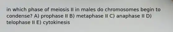 in which phase of meiosis II in males do chromosomes begin to condense? A) prophase II B) metaphase II C) anaphase II D) telophase II E) cytokinesis