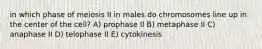 in which phase of meiosis II in males do chromosomes line up in the center of the cell? A) prophase II B) metaphase II C) anaphase II D) telophase II E) cytokinesis