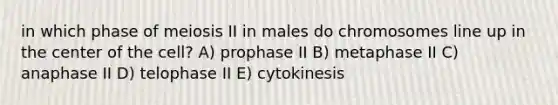 in which phase of meiosis II in males do chromosomes line up in the center of the cell? A) prophase II B) metaphase II C) anaphase II D) telophase II E) cytokinesis