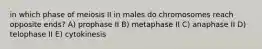 in which phase of meiosis II in males do chromosomes reach opposite ends? A) prophase II B) metaphase II C) anaphase II D) telophase II E) cytokinesis