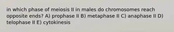 in which phase of meiosis II in males do chromosomes reach opposite ends? A) prophase II B) metaphase II C) anaphase II D) telophase II E) cytokinesis