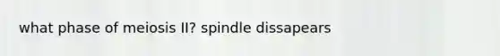 what phase of meiosis II? spindle dissapears