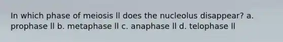 In which phase of meiosis ll does the nucleolus disappear? a. prophase ll b. metaphase ll c. anaphase ll d. telophase ll