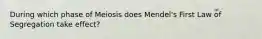 During which phase of Meiosis does Mendel's First Law of Segregation take effect?