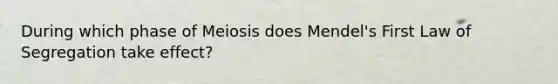 During which phase of Meiosis does Mendel's First Law of Segregation take effect?