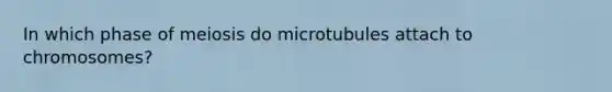 In which phase of meiosis do microtubules attach to chromosomes?