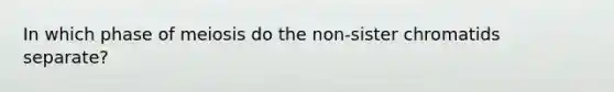 In which phase of meiosis do the non-sister chromatids separate?