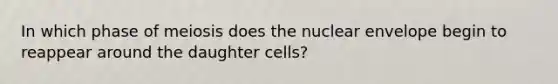 In which phase of meiosis does the nuclear envelope begin to reappear around the daughter cells?