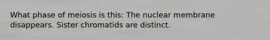 What phase of meiosis is this: The nuclear membrane disappears. Sister chromatids are distinct.