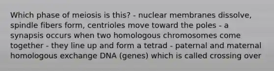 Which phase of meiosis is this? - nuclear membranes dissolve, spindle fibers form, centrioles move toward the poles - a synapsis occurs when two homologous chromosomes come together - they line up and form a tetrad - paternal and maternal homologous exchange DNA (genes) which is called crossing over