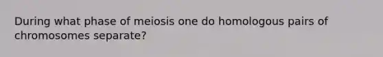 During what phase of meiosis one do homologous pairs of chromosomes separate?