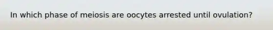 In which phase of meiosis are oocytes arrested until ovulation?