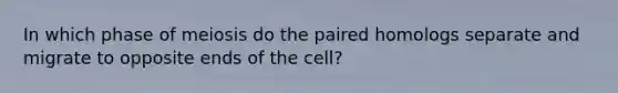 In which phase of meiosis do the paired homologs separate and migrate to opposite ends of the cell?