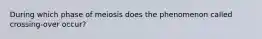 During which phase of meiosis does the phenomenon called crossing-over occur?