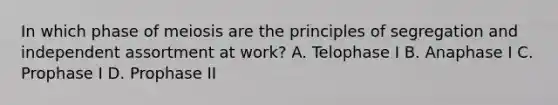 In which phase of meiosis are the principles of segregation and independent assortment at work? A. Telophase I B. Anaphase I C. Prophase I D. Prophase II