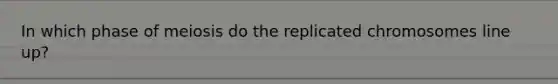 In which phase of meiosis do the replicated chromosomes line up?
