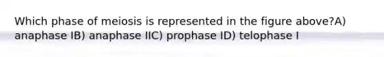 Which phase of meiosis is represented in the figure above?A) anaphase IB) anaphase IIC) prophase ID) telophase I