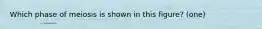 Which phase of meiosis is shown in this figure? (one)