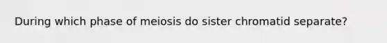 During which phase of meiosis do sister chromatid separate?