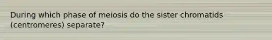 During which phase of meiosis do the sister chromatids (centromeres) separate?