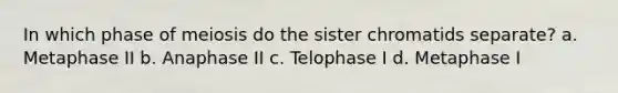 In which phase of meiosis do the sister chromatids separate? a. Metaphase II b. Anaphase II c. Telophase I d. Metaphase I