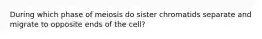 During which phase of meiosis do sister chromatids separate and migrate to opposite ends of the cell?