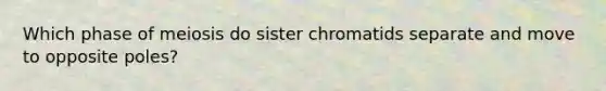 Which phase of meiosis do sister chromatids separate and move to opposite poles?