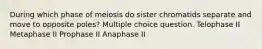 During which phase of meiosis do sister chromatids separate and move to opposite poles? Multiple choice question. Telophase II Metaphase II Prophase II Anaphase II