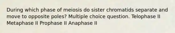 During which phase of meiosis do sister chromatids separate and move to opposite poles? Multiple choice question. Telophase II Metaphase II Prophase II Anaphase II