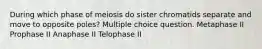 During which phase of meiosis do sister chromatids separate and move to opposite poles? Multiple choice question. Metaphase II Prophase II Anaphase II Telophase II