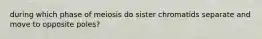 during which phase of meiosis do sister chromatids separate and move to opposite poles?