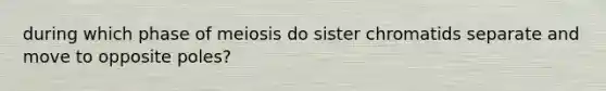 during which phase of meiosis do sister chromatids separate and move to opposite poles?