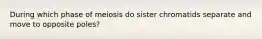 During which phase of meiosis do sister chromatids separate and move to opposite poles?